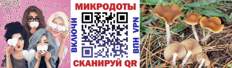 хочу   Облучье  Галлюциногенные грибы Psilocybine cubensis 